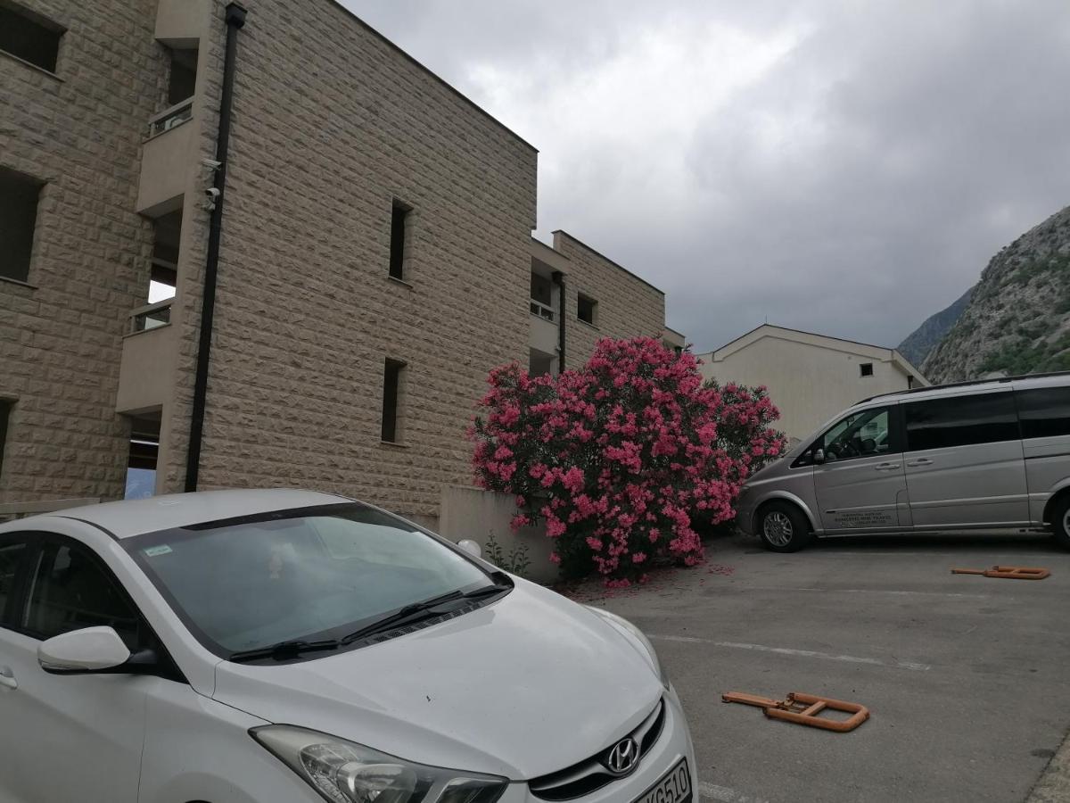 Villa Milla 科托尔 外观 照片